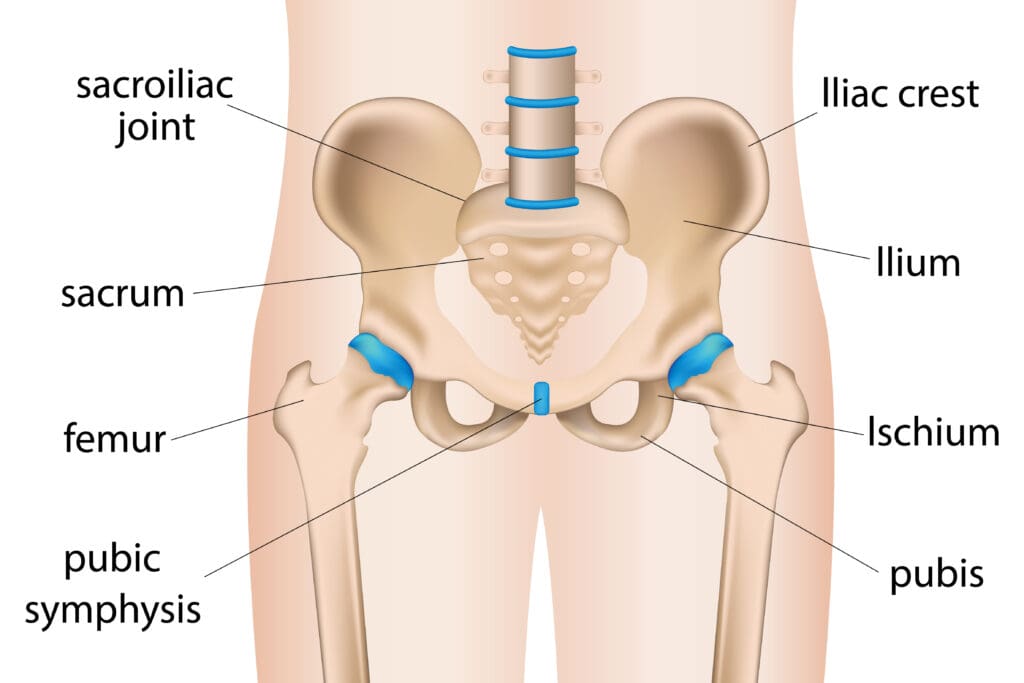 illustration of painful hip sacral inflammation, hip pain bursitis, arthritis, sacroiliac joint
